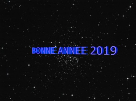 BONNE ANNEE.jpg